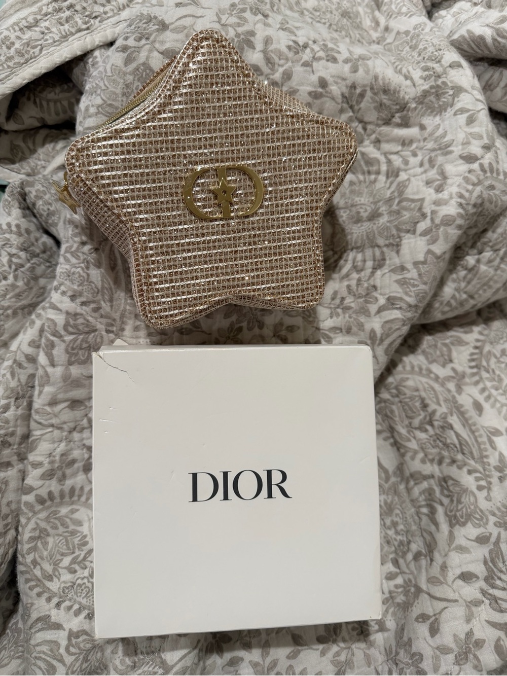 Dior Star-Shaped Metallic Pouch in Champagne Gold